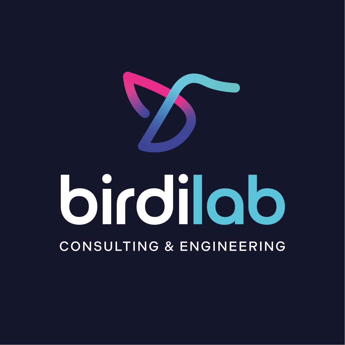 birdilab logo